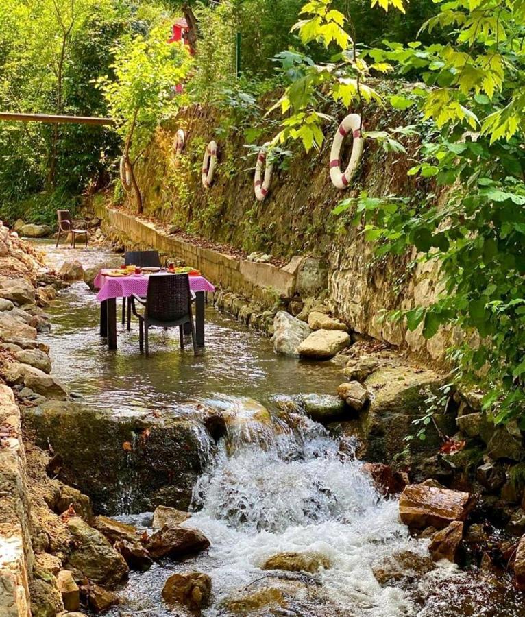 Beyazev Butik Otel Masukiye Kartepe Ngoại thất bức ảnh